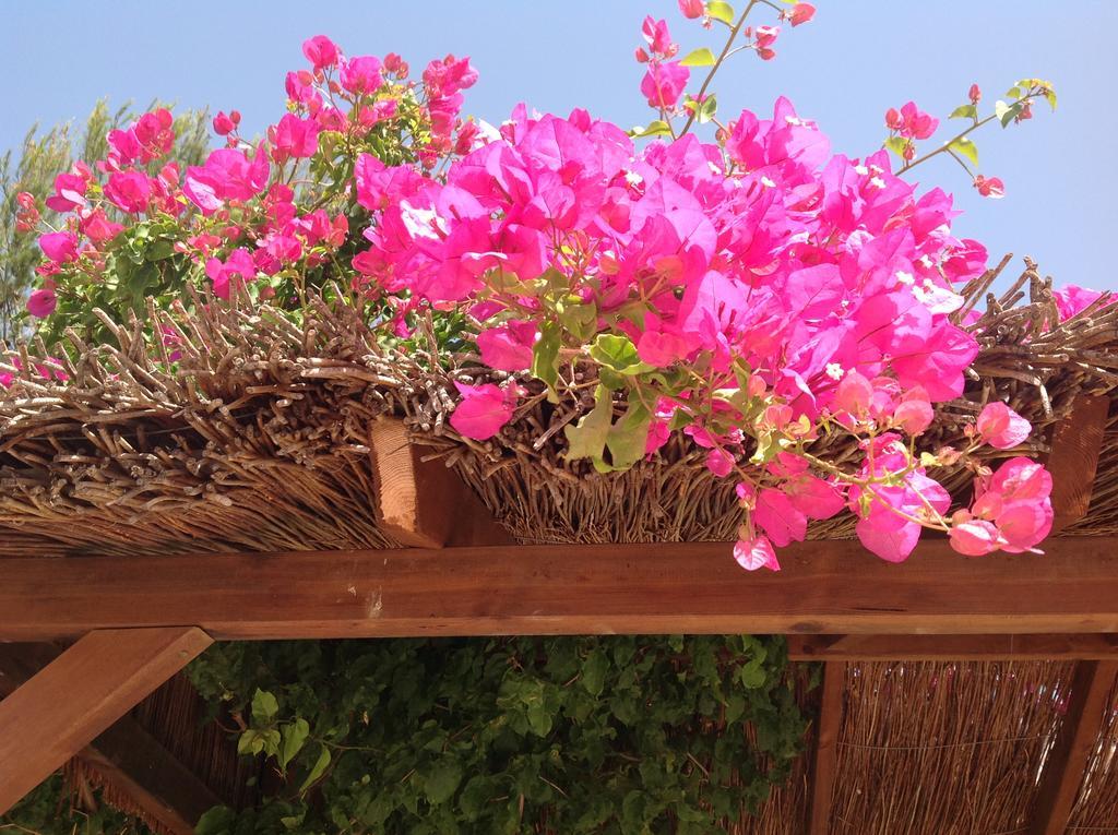 Finca Klara, Boutiquehotel - Apartment -Javea-Moraira- Benitachell Dış mekan fotoğraf